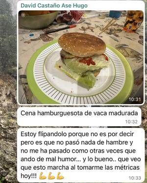 Hamburguesa - comida real H+FAC